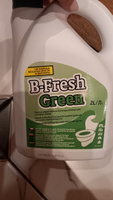 Жидкость для биотуалета нижний бак THETFORD B-Fresh Green 2 л (30537BJ) #31, татьяна т.