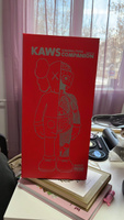 Коллекционная игрушка KAWS Companion Anatomy Medicom Toys/Интерьерная игрушка, размер 40 см #3, Никита Ш.