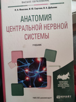 Анатомия центральной нервной системы #6, Дарья Ч.