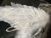 Крылья "Ангел" из натуральных перьев, для взрослых и детей #6, Валентина С.
