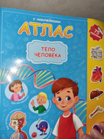 Детский альбом с наклейками "Атлас мира. Тело человека", 75 наклеек #35, Денис И.