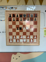 Шахматы и шашки демонстрационные магнитные #1, Антипова Наталья