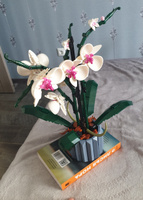 Конструктор Цветы Орхидея 608 деталей #70, Ната