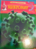 Микромир. Детская энциклопедия школьника | Роджерс К. #7, Марина И.