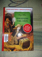 Приключения Тома Сойера. Библиотека школьника | Твен Марк #8, Александр Б.