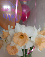 Воздушные шары для девочки на день рождения "Любимая дочка!" 30 см набор 10 штук #64, Валентина А.