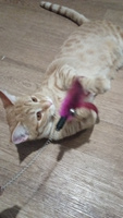 Игрушка для кошек интерактивная дразнилка на присоске перо #73, Светлана М.