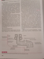 Функциональная морфология человека: висцерология. Т.1. #2, Валентин Р.