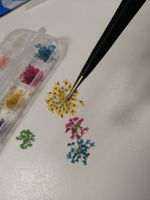 Сухоцветы для дизайна ногтей D 1-2 см. + пластиковый кейс, 36 шт. соцветий, набор 12 расцветок. #73, Светлана Б.