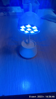 LED лампа для  сушки ногтей , гелевых типс и верхних форм, тюльпан 24 W #1, Татьяна Г.
