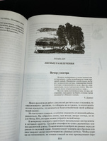 По следам Робинзона | Верзилин Николай Михайлович #8, Елена А.