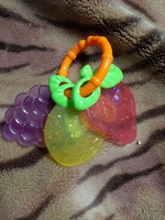 Погремушка для новорожденного Smart Baby "Фрукты" с прорезывателем для зубов: развивающая игрушка для малышей, грызунок #61, Сергей Я.