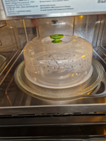 СИбПолимер Крышка "Кухня и чистота", 1 шт, диаметр: 27 см #78, Жанна Р.