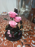 Роза в колбе живая, вечная, стабилизированная "Тройная PR" 32см, подарок маме, женщине, на 8 марта , на день рождения, Цвет: Розовый #4, Сергей