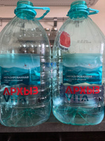 Вода Архыз VITA горная природная питьевая для детского питания негазированная, 2 шт х 5 л #1, Evgeniy G.