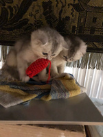 Игрушка для кошек GLG "Мышь" интерактивная вязанная с бубенчиком дразнилка для кота, 7 см, 2 шт #21, Ирелия Лис