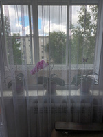 Горшок для орхидей "Деко", 2,4 л, пластик, цвет прозрачный, розовый #5, Маргарита Ф.