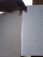 Бумага Снежинка Премиум офисная белая А4 для КМТ 100 листов для принтера и ксерокопий #7, Сергей Л.