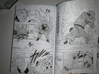 Naruto. Наруто. Книга 6. Бой в Листве. Финал | Кисимото Масаси #10, Ольга Б.