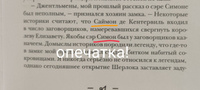 Детский детектив Мальчик Шерлок Холмс книга 1 художественная литература для детей, подростков в подарок мальчикам, девочкам для самостоятельного чтения Издательство Октопус | Зайцев М. #7, Ксана С.