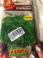 Агрофирма АЭЛИТА Семена Петрушка кудрявая "Славянская" 2гр #39, Галина В.