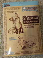 Доски для выжигания по дереву "Дельфин и Лисёнок" с рисунками, набор для детского творчества из 2 картинок-трафаретов для выжигателя #25, Елена Р.