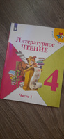 Литературное чтение 4 класс. Комплект из 2-х учебников. УМК "Школа России". ФГОС | Климанова Людмила Федоровна, Виноградская Людмила Андреевна #1, Екатерина К.