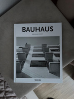 Bauhaus | Дросте Магдалена #6, Катерина