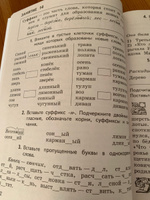 К пятерке шаг за шагом, или 50 занятий с репетитором. Русский язык 2-4 классы | Ахременкова Людмила Анатольевна #4, Агата Д.