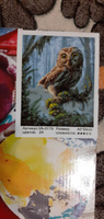 Картина по номерам на холсте с подрамником. 40x50: Colibri - пейзажи. Филин в лесу #50, Людмила Н.