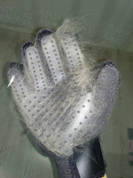 Перчатка для вычесывания шерсти кошек STEFAN, черный, PMG-1201BLCK #61, Елена С.