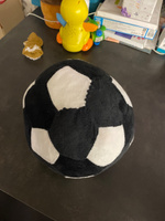 Мягкая игрушка Мяч плюшевый цвет черно-белый, диаметр 22 см. #2, Евгений И.