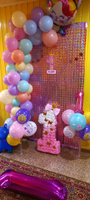 Воздушные шары для дочки "С Днем Рождения! 1 годик! Девочка!" 30 см набор 10 штук #67, Елена К.