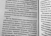 Страх и отвращение в Лас-Вегасе | Томпсон Хантер С. #19, Мари Ш.