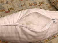 Подушка 50х70 для сна Эвкалипт Реноме в хлопковой ткани сатин мягкая #79, Светлана