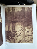 Alfred Stieglitz. Camera Work. The Complete Photographs | Roberts Pam, Робертс П. #6, Александр