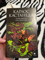 Огонь изнутри. Сила безмолвия | Кастанеда Карлос Сезар Арана #25, Aleksei V.