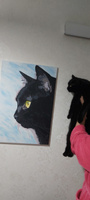 Картина по номерам Y-379 "Черный котик в шляпе" 40х60 #12, Вита С.