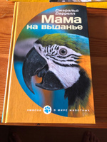 Мама на выданье #4, Колодезникова Елена