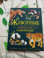 Животные. Новая детская энциклопедия школьника 7 лет | Клюшник Лариса Владимировна #4, Ольга М.