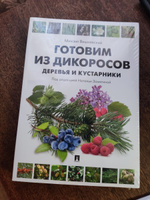 Готовим из дикоросов. Вишневский Михаил. Замятина Наталья. Здоровое питание Готовка Дикоросы книга. | Вишневский Михаил Владимирович #6, Дмитрий М.