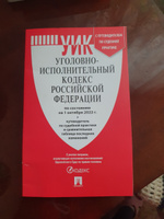 Уголовно-исполнительный кодекс РФ (УИК РФ) по сост. на 25.09.24 с таблицей изменений и с путеводителем по судебной практике. #1, Aisha H.