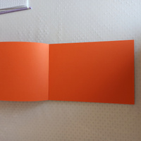 Цветной картон формата А4 тонированный в массе для творчества и оформления, набор 48 листов, 12 цветов, склейка, 180 г/м2, Brauberg #136, Елена Р.