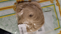 Резинка-Шиньон с искусственными волосами для пучка гульки #8, Александра Д.
