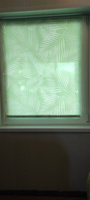 Рулонные шторы 70 см x 160 см Салатовый Тропики DECOFEST #84, Светлана Я.