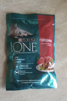 Влажный корм Purina ONE для взрослых кошек, в соусе с говядиной и морковью, 75 г х 26 шт. #174, Марина Закирова