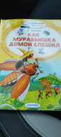 Как муравьишка домой спешил | Бианки Виталий Валентинович #8, Нина К.