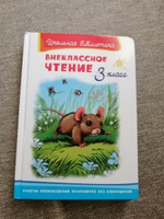 Внеклассное чтение. 3 класс (Сборник для внеклассного чтения). Книга для детей, развитие, мальчиков и девочек #7, Динар Х.