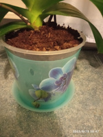 Горшок для орхидей "Деко", 2,4 л, пластик, цвет голубой #6, Ольга В.