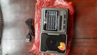 Радиоприемник EPE высокочувствительный AM FM SW с USB MicroSD и MP3 компактный с фонариком #7, Олег П.